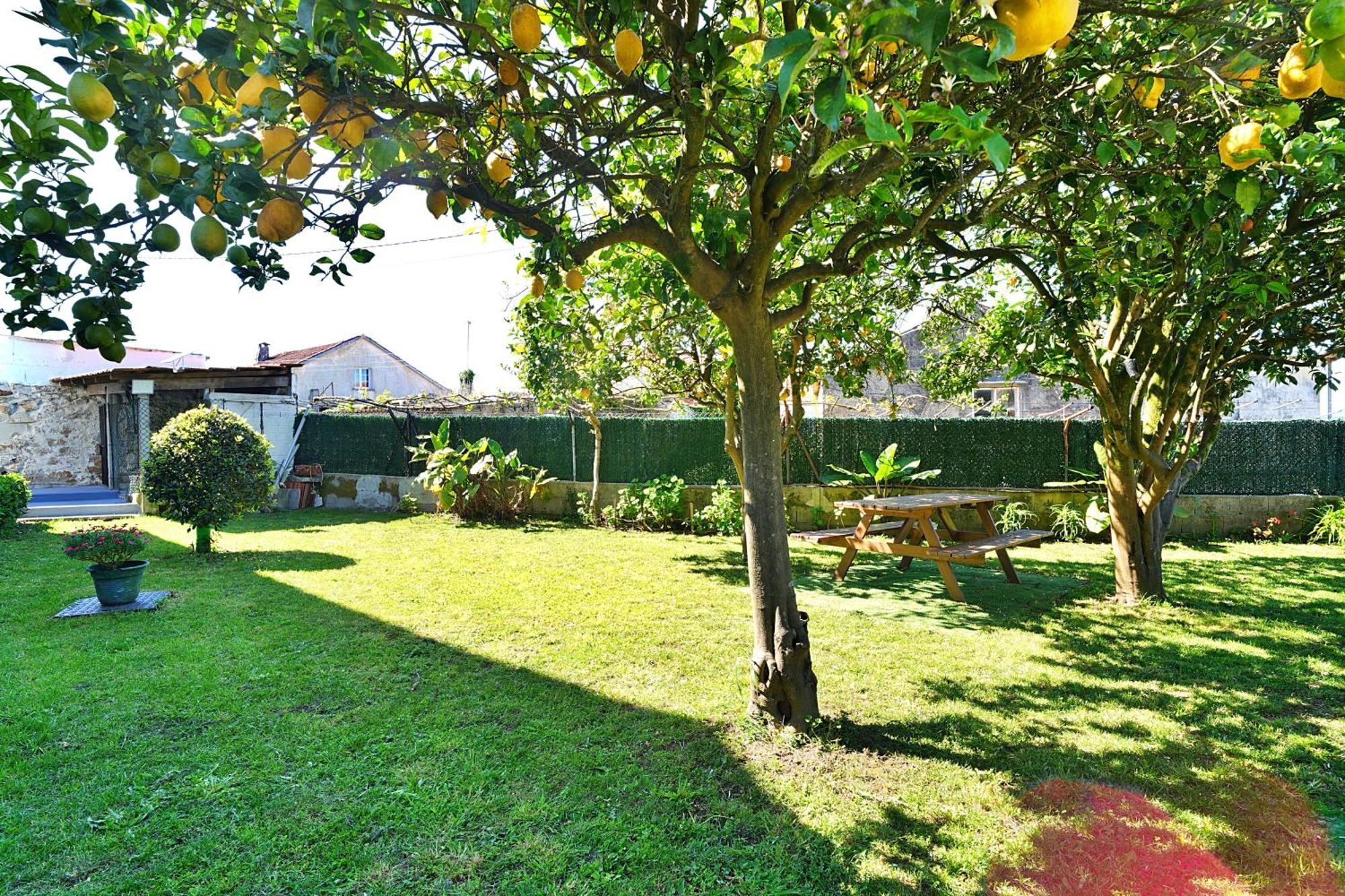 פונטה-ודרה Casa Con Jardin En Vilanova De Arousa מראה חיצוני תמונה